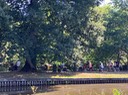 IMG_1899